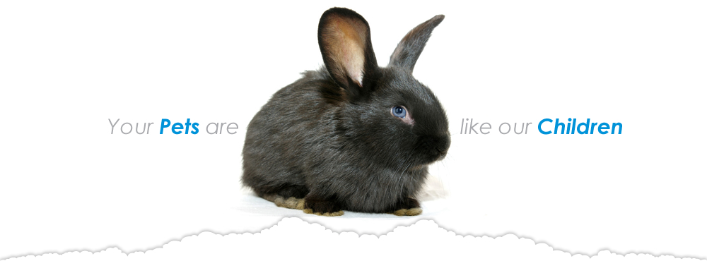 Slideshow Image 3